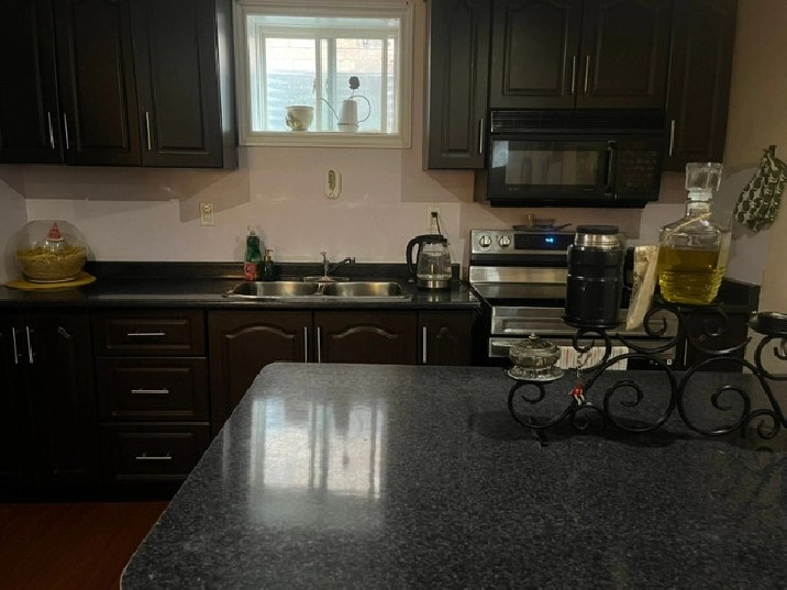 One Bed One Bath Basement for Rent in Milton from May 1st in Oakville