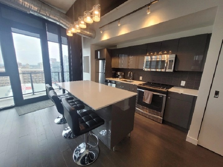 PENTOUSE CONDO FOR SALE IN GLASSHOUSE LOFTS in Winnipeg,MB Condos for