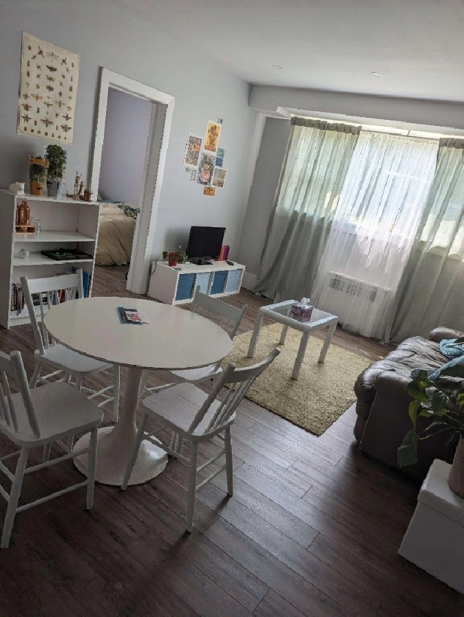 Seeking roommate for student apartment, Vanier. in Ottawa,ON Room