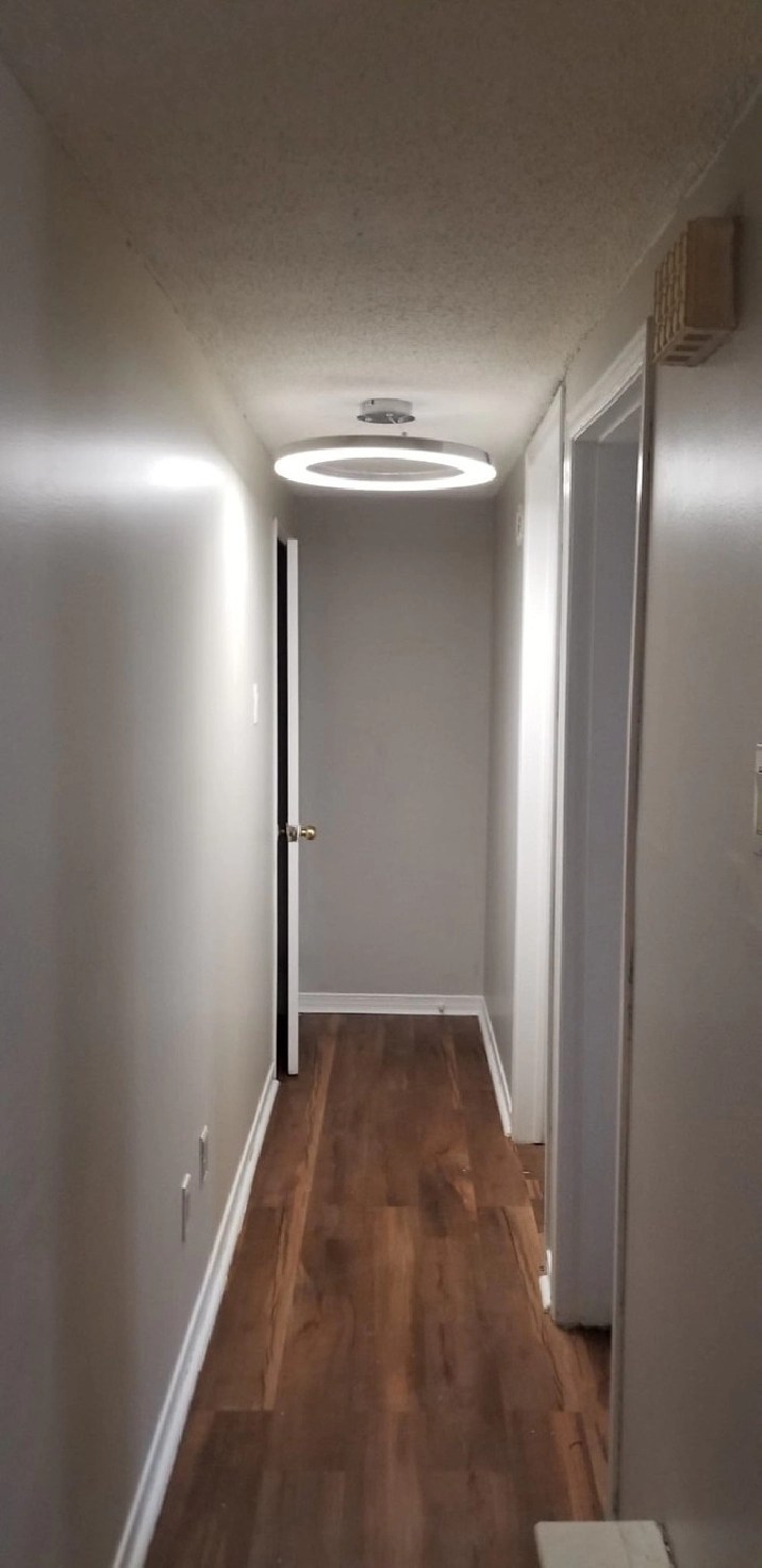 Hintonburg Apartment for Rent in Ottawa,ON Apartments & Condos for Rent