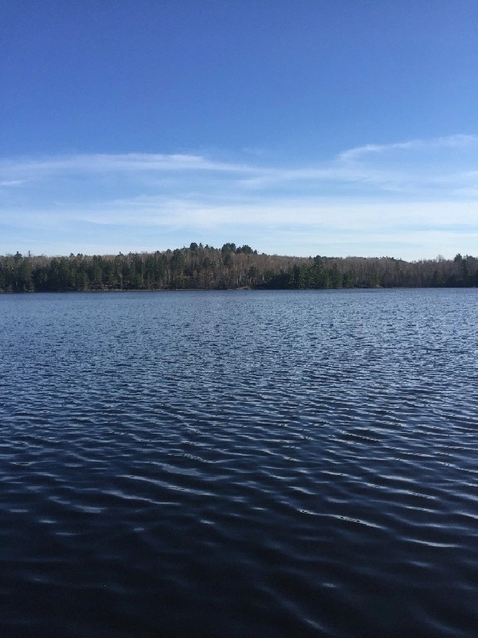 WATERFRONT 90 acres of land for sale Moore Lake Chelmsford in Sudbury