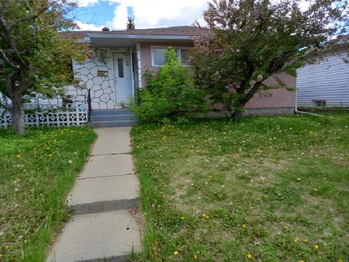 Legal Basement in Brentwood NW for rent in Calgary,AB Room Rentals