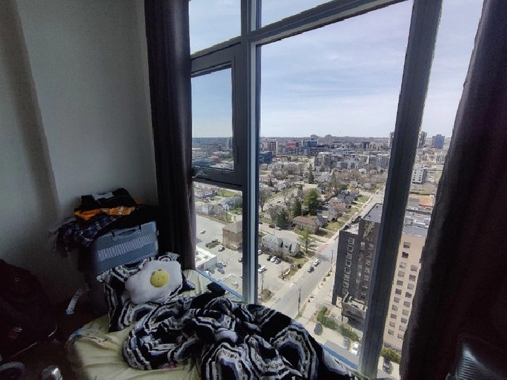 One room available to rent in Waterloo. Starts from 1 May in Kitchener
