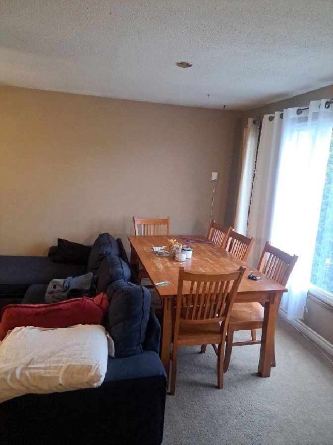 Student in North Bay,ON Room Rentals & Roommates