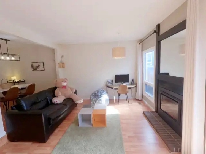 2 BED TOWNHOME CONDO W/BASEMENT/PATIO/PARKING SPOT/PET FRIENDLY in