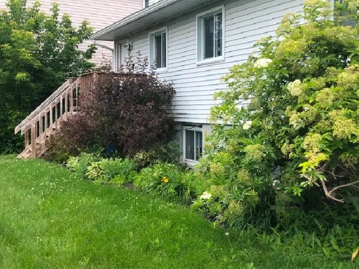 Basement apartment in Orléans (for July 1st) in Ottawa,ON Apartments