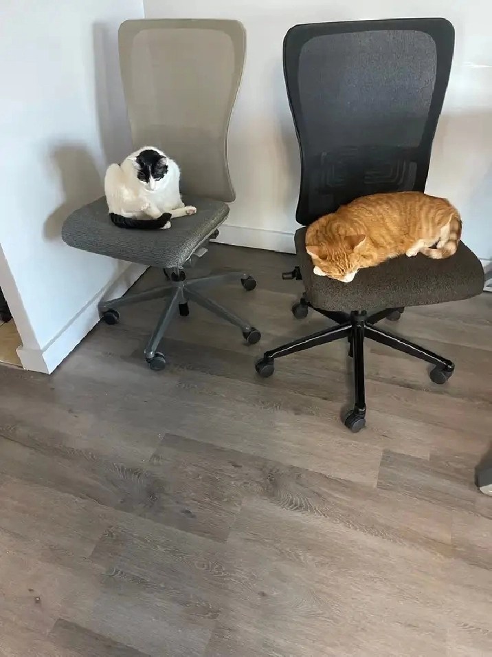 2 bedroom apartment 1171 Ambleside drive in Ottawa,ON Apartments