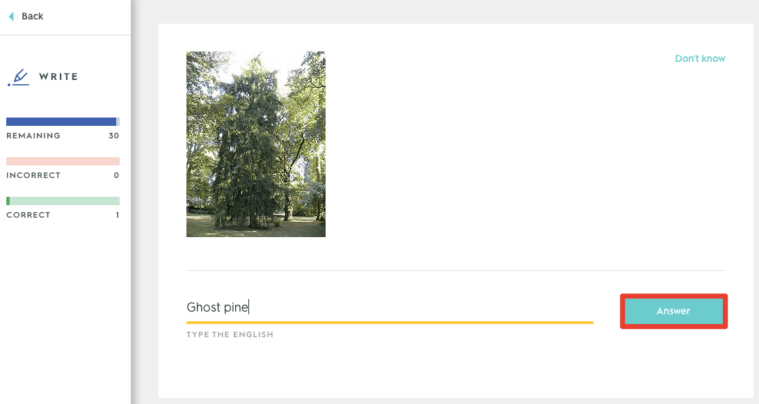 Studying with Write mode Quizlet