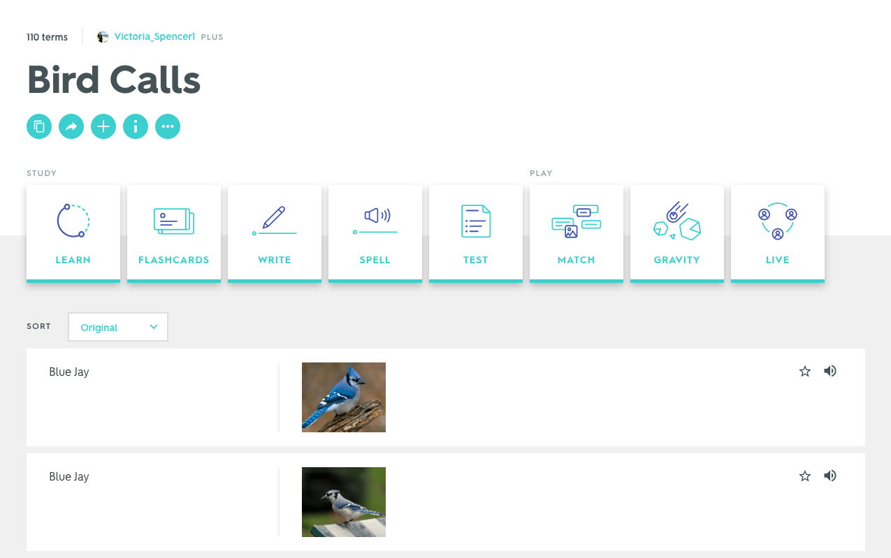 Four Ways to Use Quizlet's Custom Audio Quizlet