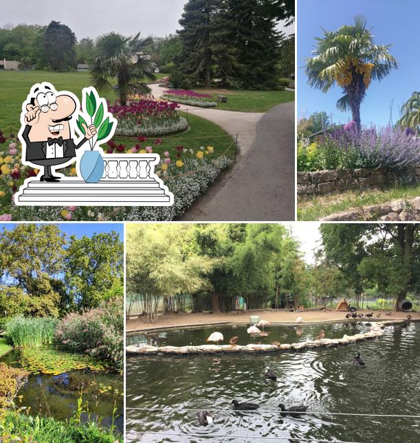 Le Pyramus Restaurant du Jardin Botanique, PregnyChambésy Restaurant