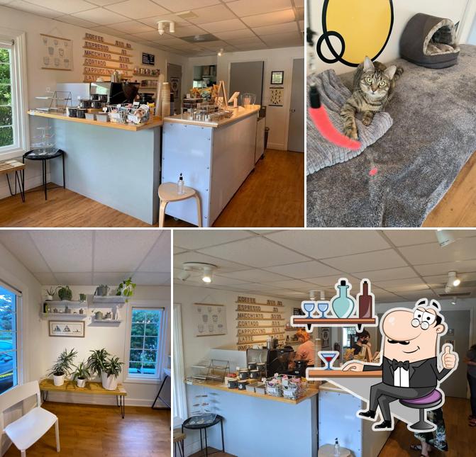 Purr Cup Cafe in Raleigh Restaurant menu and reviews