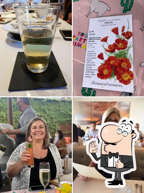 Ocotillo in Phoenix Restaurant menu and reviews