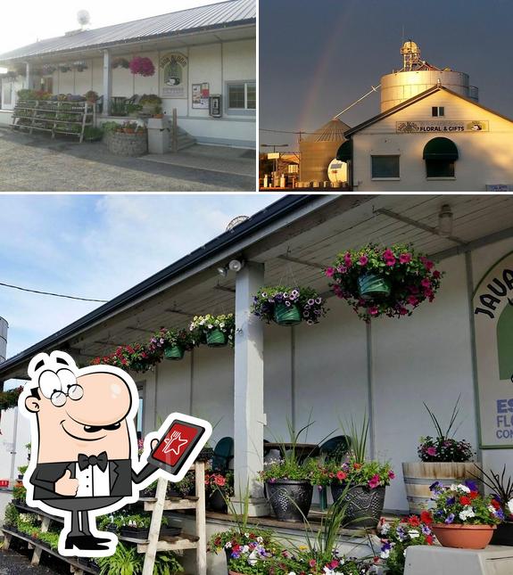 Java Bloom in Washtucna Restaurant reviews