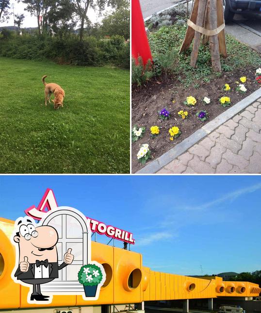 Raststätte Autogrill Pratteln, Pratteln, Autogrill Schweiz AG