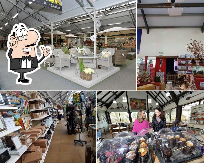 Frosts Garden Centre in Frilford Restaurant reviews