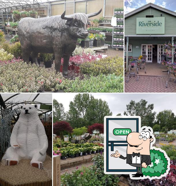 Wilton Garden Centre Riverside Restaurant in Wilton Restaurant reviews