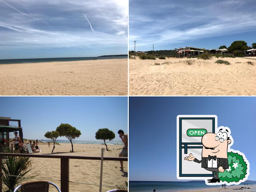 Bar Quim, Lagos, Quinta da Praia 15 Restaurant menu and reviews