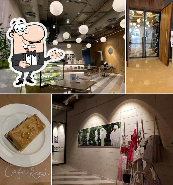 Cafe Reed, Gurugram Restaurant reviews