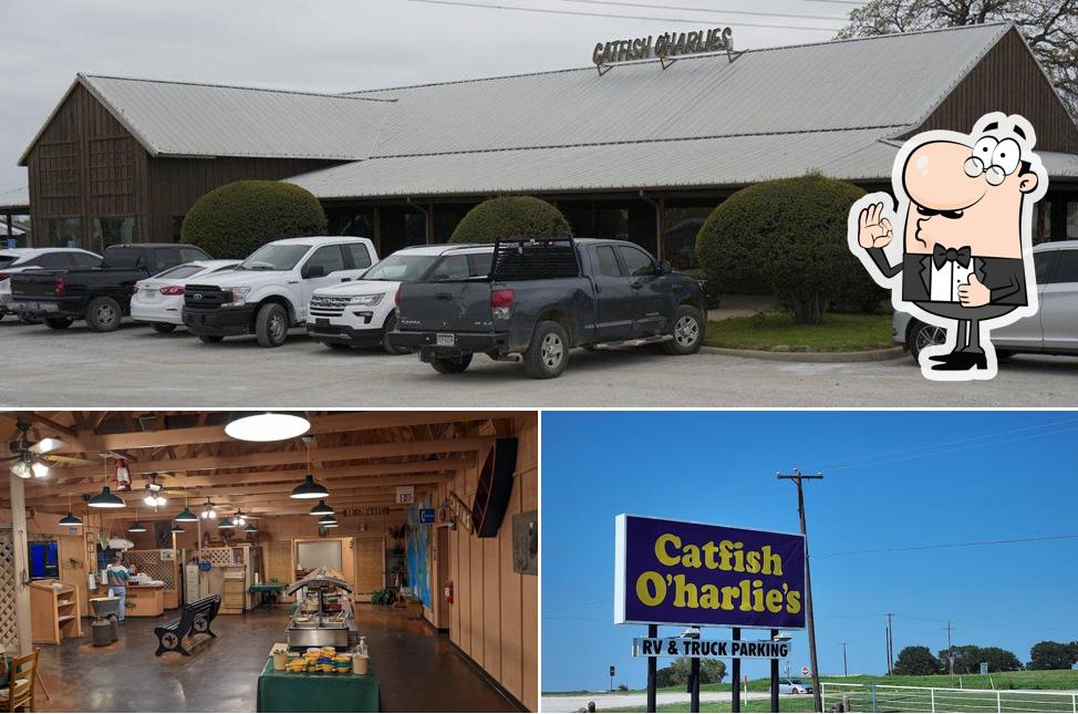 Catfish O'Harlies in Decatur Restaurant menu and reviews