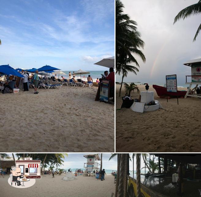 Coco Loco restaurant, Playa del Carmen, Calle 2 Nte 2 Restaurant reviews