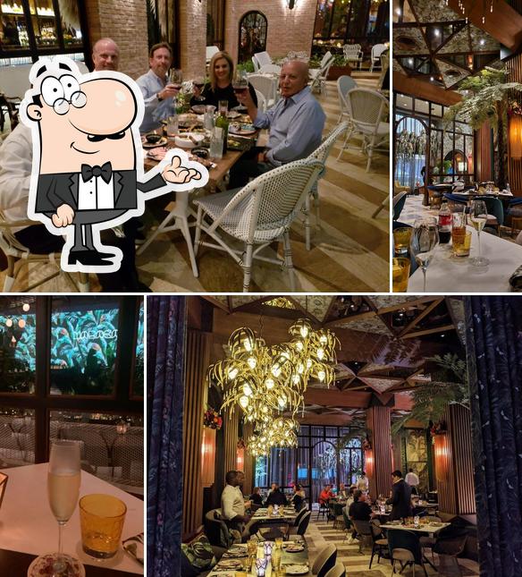 Restaurante Maraca, Santo Domingo Carta del restaurante y opiniones