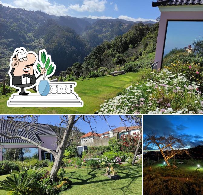 Rita's tea house cafe, Gaula Restaurant reviews