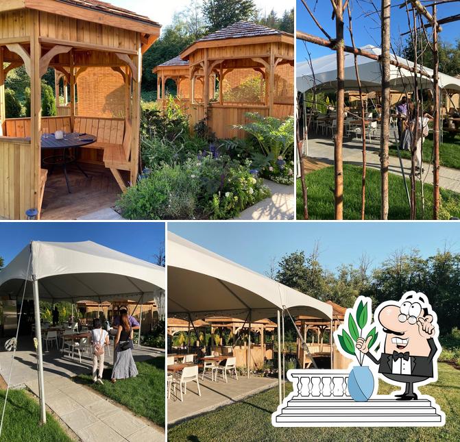 Sunflower Cafe in Maple Ridge Restaurant menu and reviews