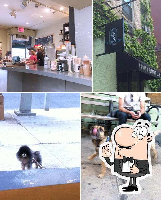 Ground Support Cafe in New York City Restaurant menu and reviews
