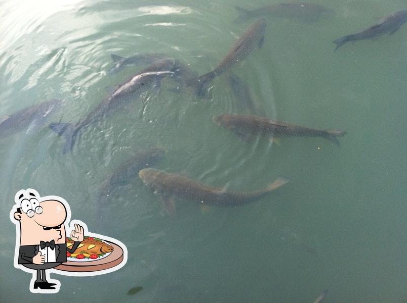 Catfish Kitchen, 136 Teal Run in Draffenville Restaurant menu and reviews