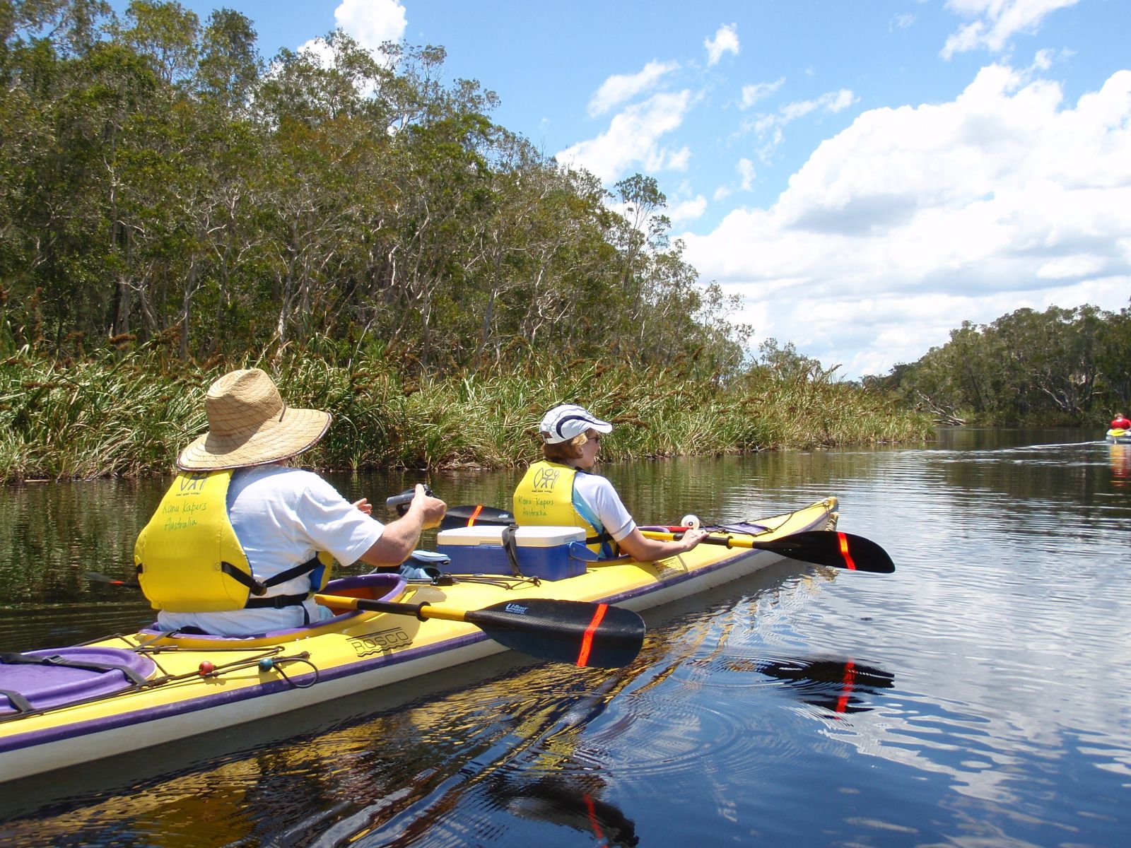 1 Day Truly Sustainable Noosa Everglades Self Guided Kayak Adventure Kanu Kapers Australia