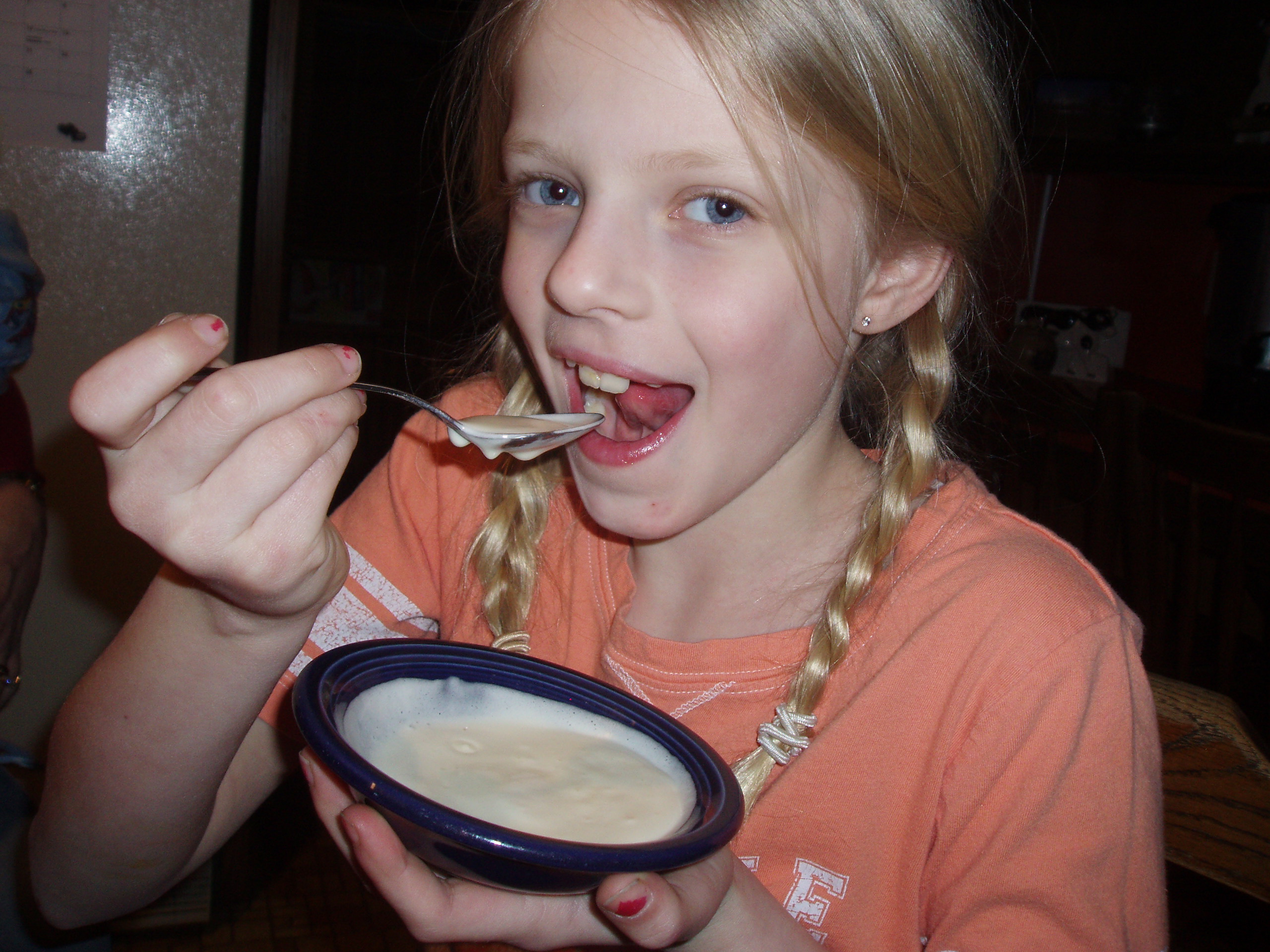 Homemade Ice Cream Tasting and Demo Verdant View Farm Reservations