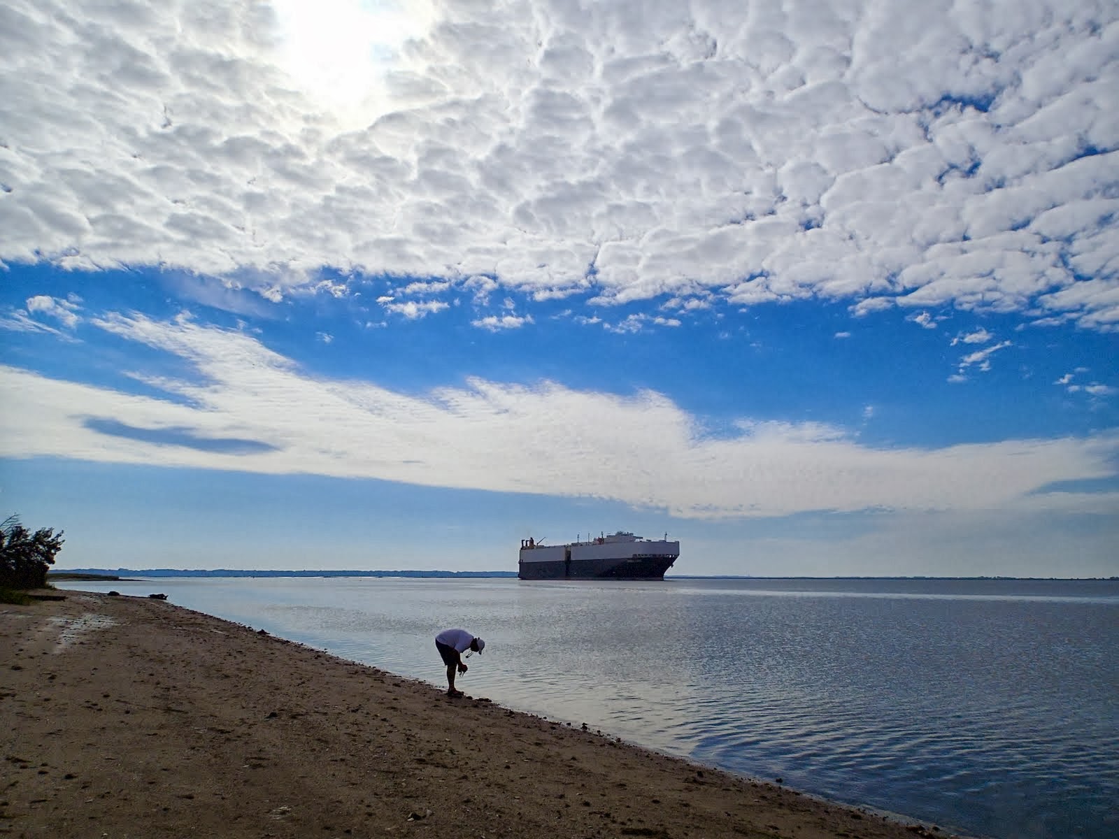3 Hour Quarantine Island Tour Southeast Adventure Outfitters Reservations