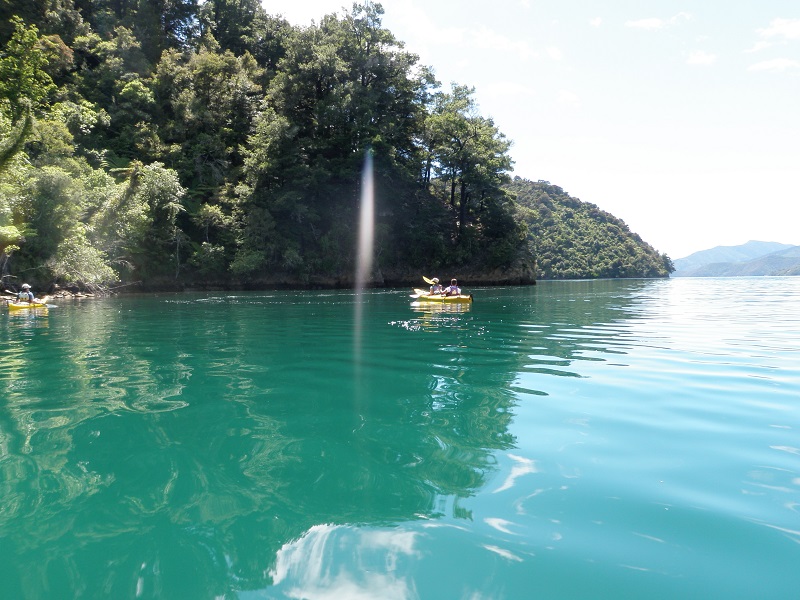Sea Kayak Rental Half Day Marlborough Sounds Adventure Co. Reservations