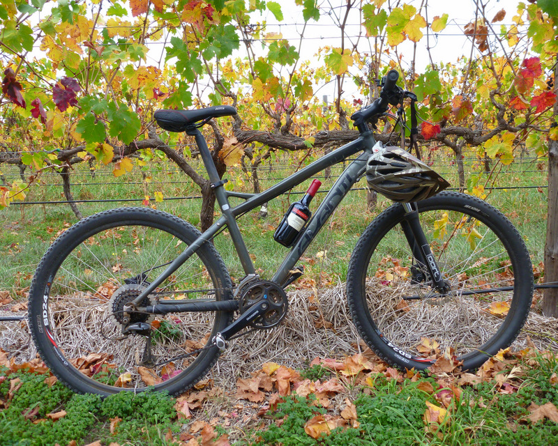 McLaren Vale bike and wine tour Escapegoat Adventures Pty. Ltd