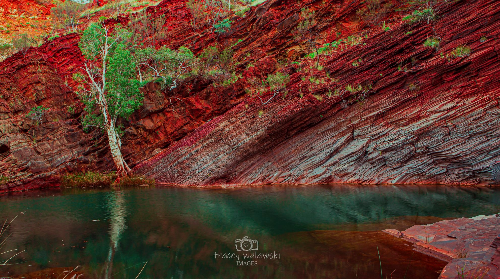 Hamersley & Spa Pool Half Day Tour Tom Price Visitor Centre