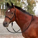Western Sidepull Bridle . Sidepull Bitless Hackamore Bridles Riding Warehouse