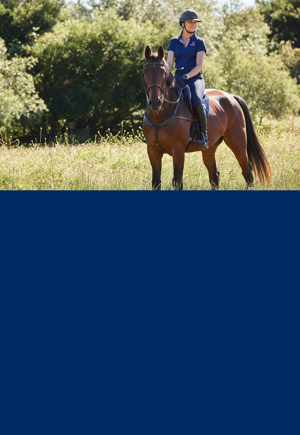 Horse Tack Horse Gear & Supplies Riding Warehouse