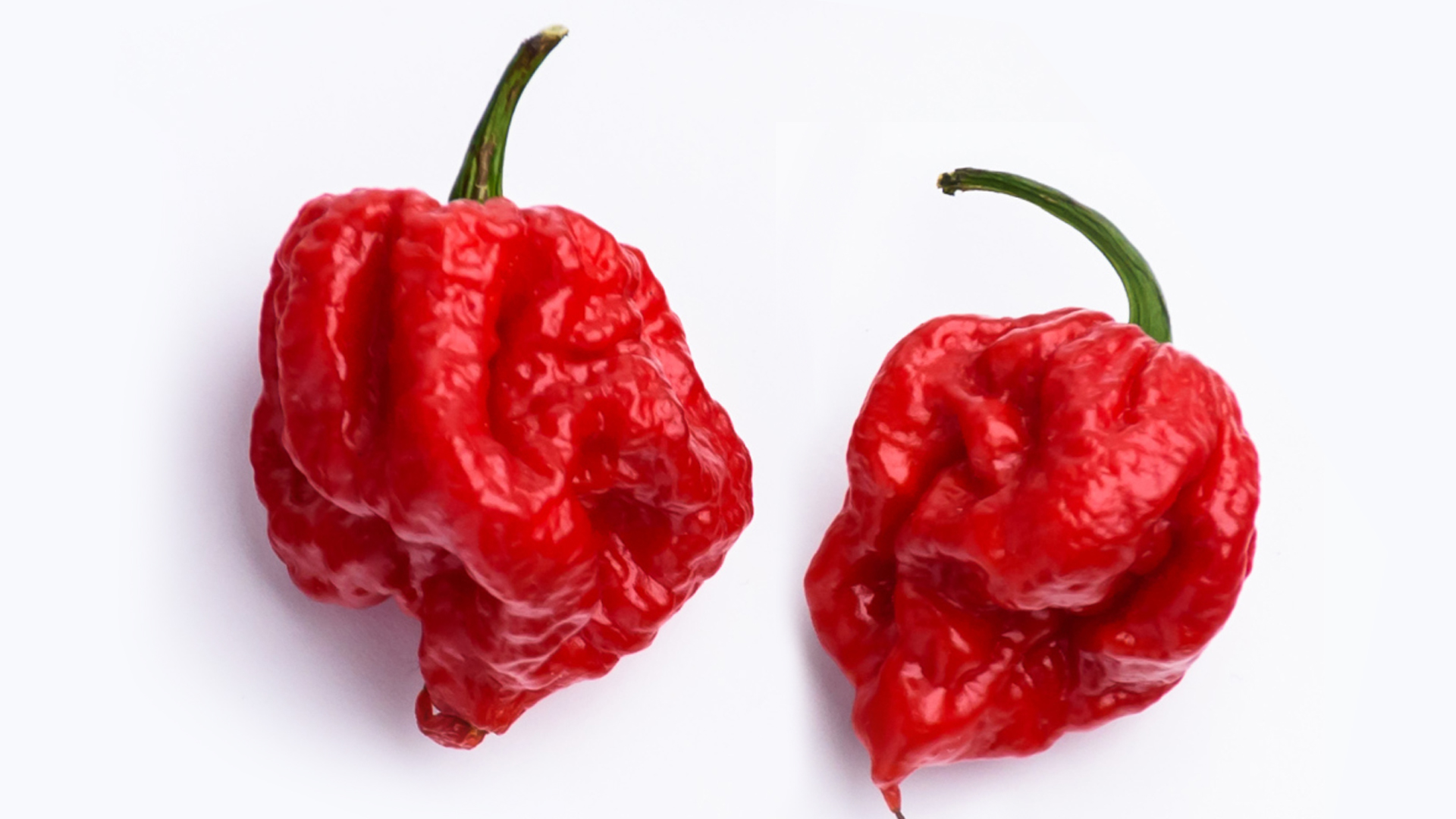 Zwolse kauwt 6,5 minuut op heetste peper ter wereld en