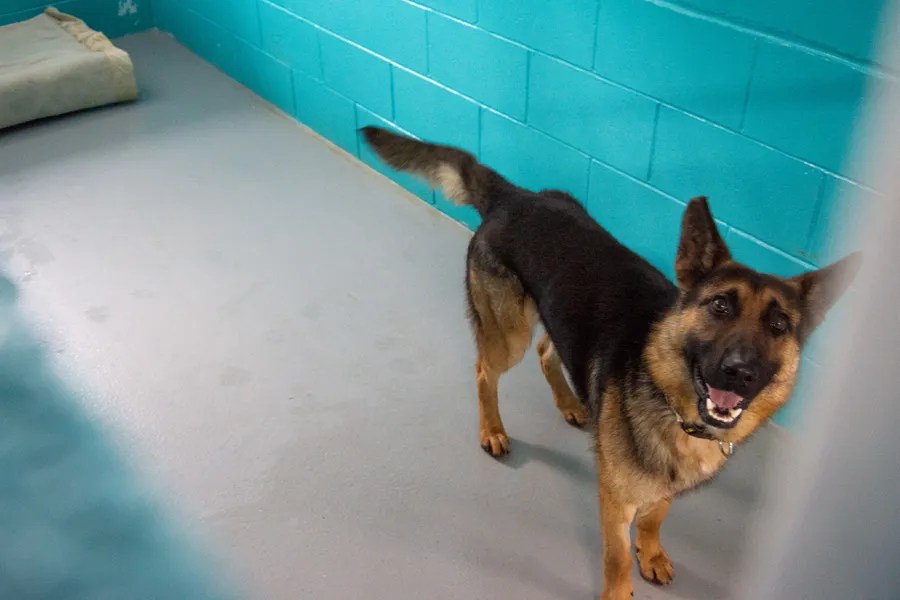 Alison Zywicki Photography and Videography