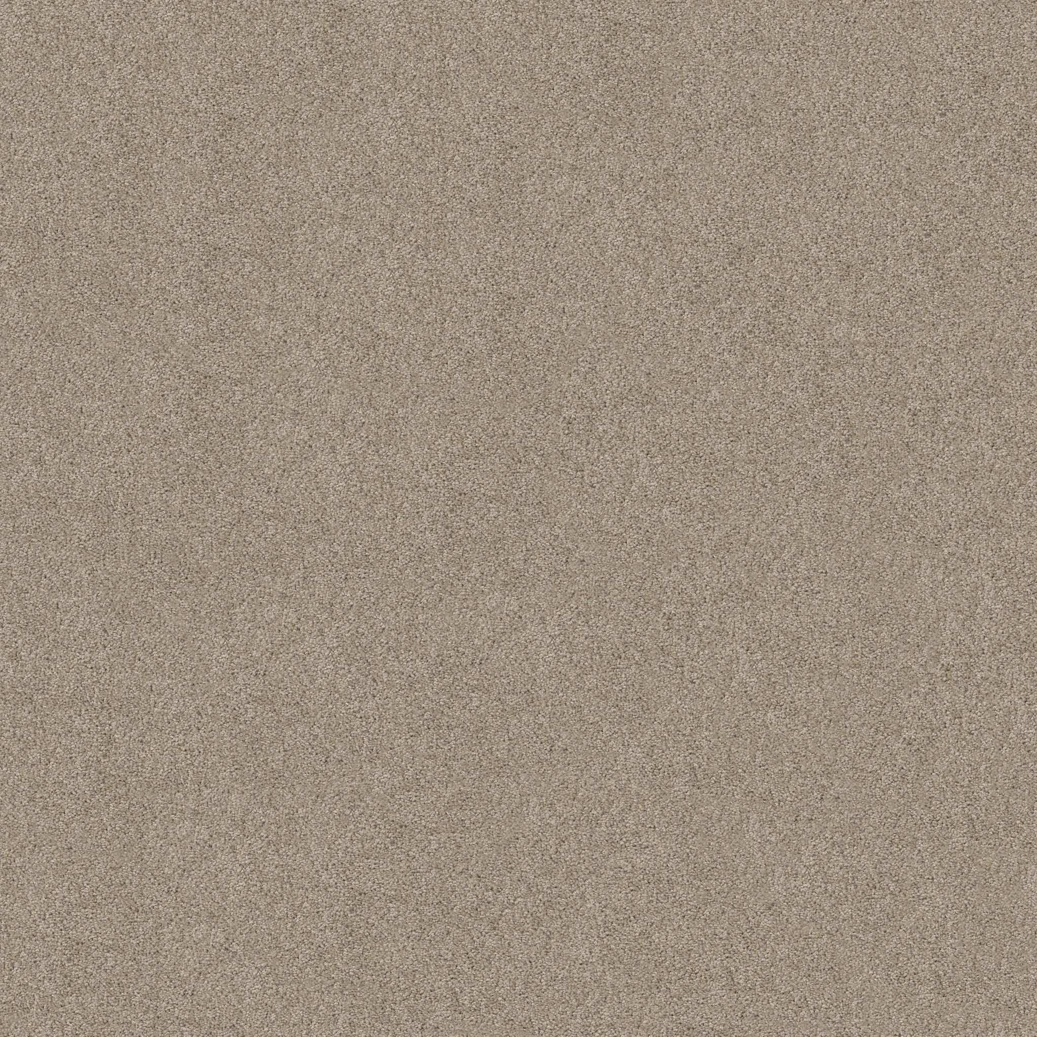 atwater_i cement carpets 014tb00512 Shaw Builder Flooring