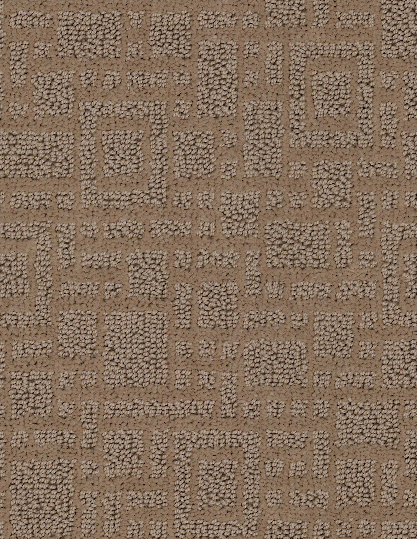 downtown chic sandal carpets 420mt_00275 Shaw Builder Flooring