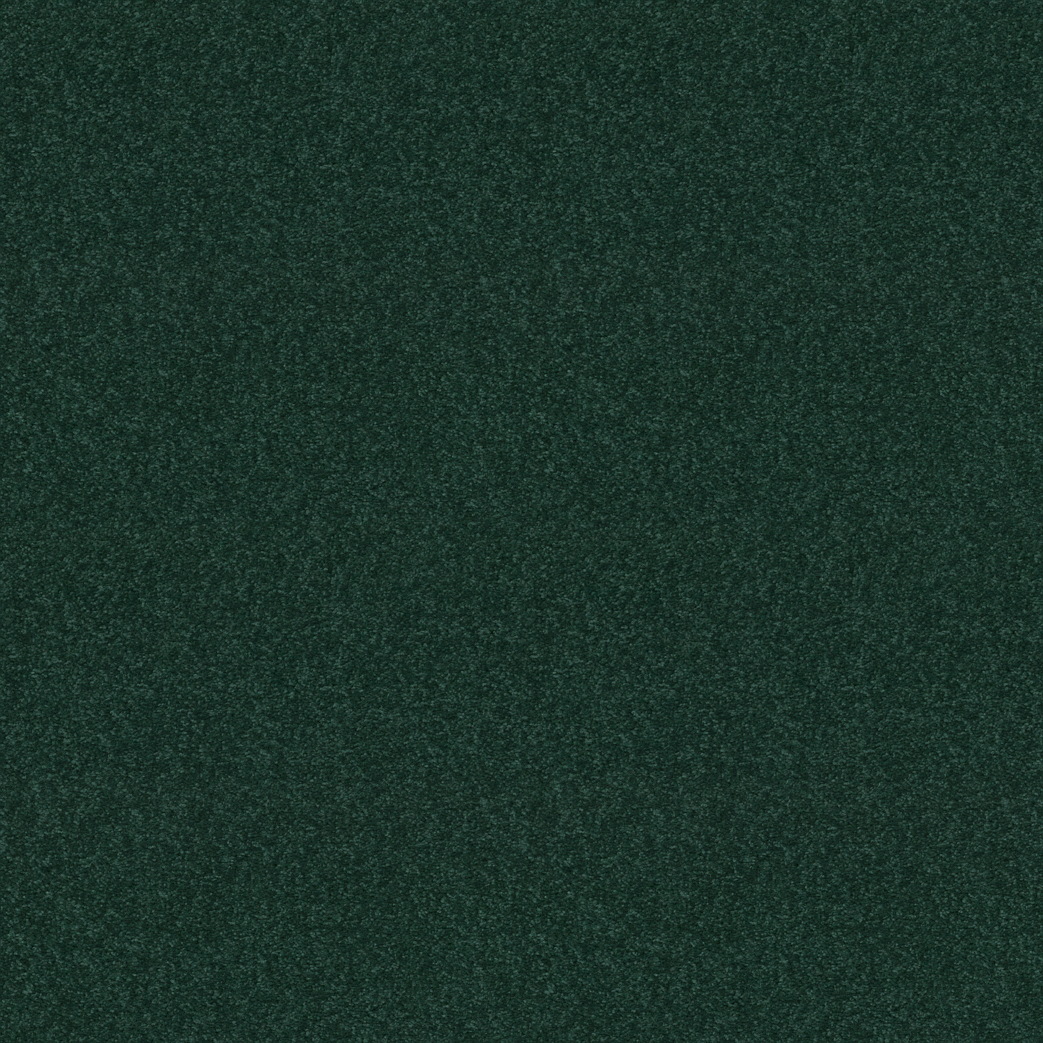 orchard_mill_ii_12_ polo carpets hg08055301 Shaw Builder Flooring