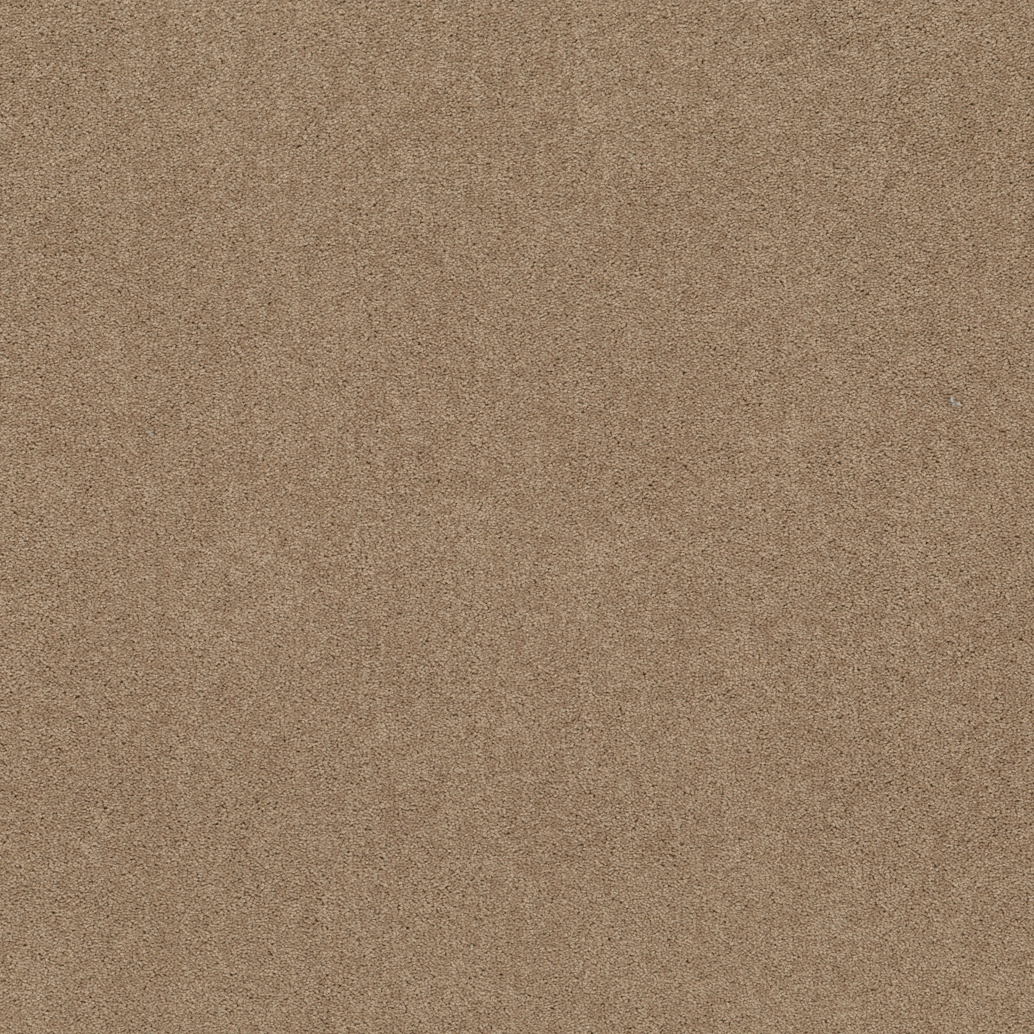 traditional_allure_12_ field_khaki carpets hgg6700793 Shaw