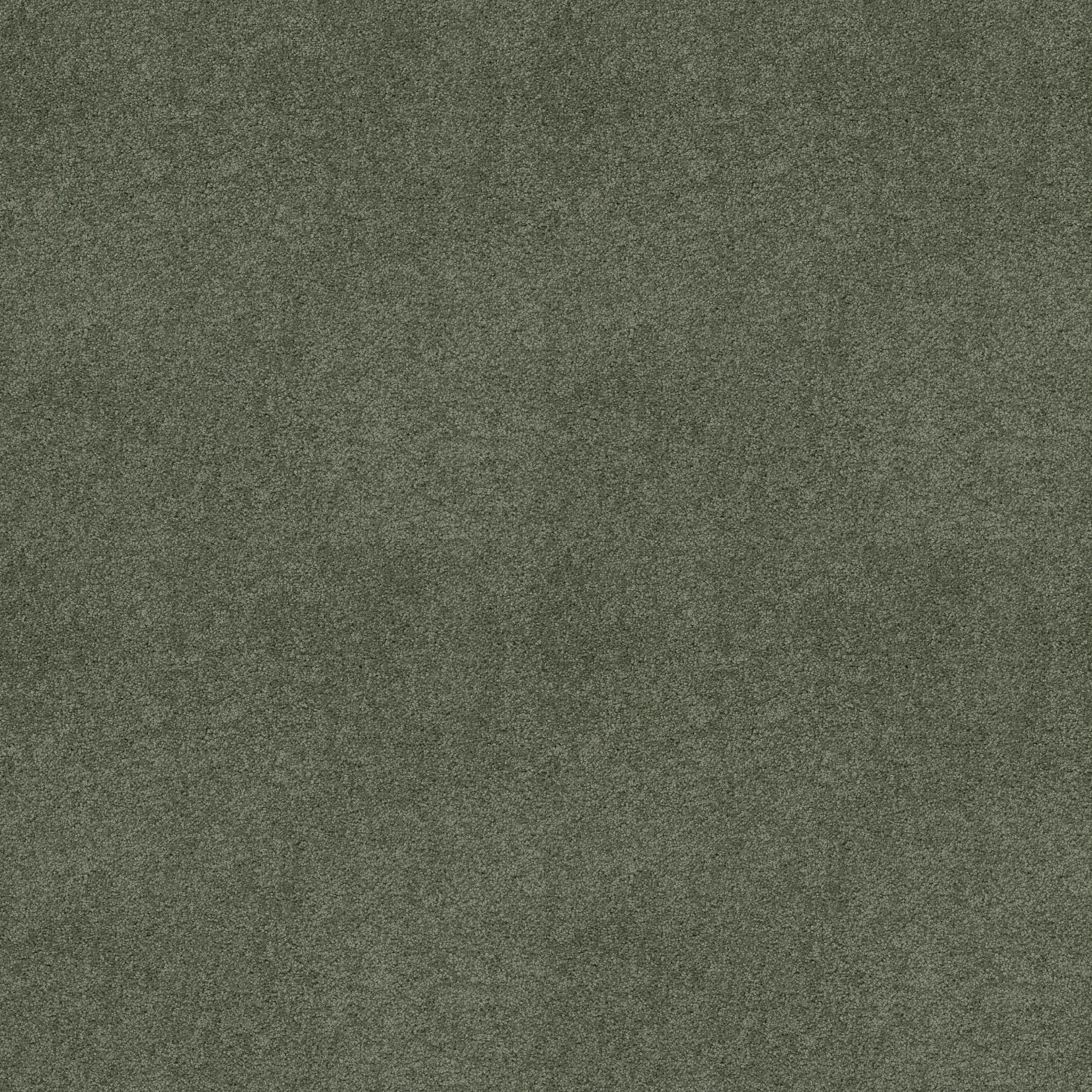 emerald bay iii bay laurel carpets HGN53_00351 Shaw Builder