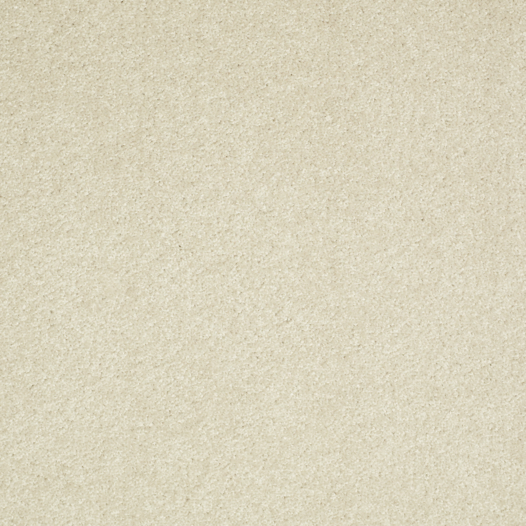 Dawson Manor II creamy tint carpets HGN67_00101 Shaw Builder