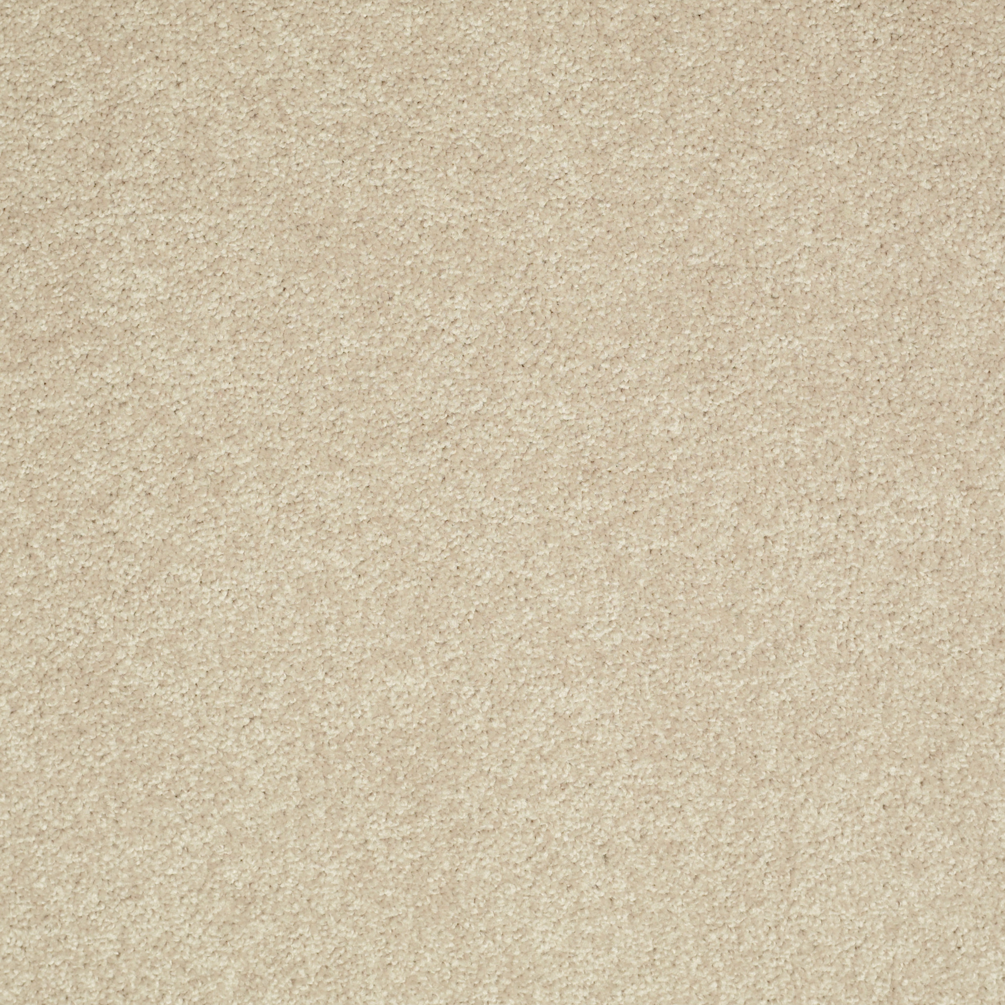 Dawson Manor II agate carpets HGN6700102 Shaw Builder Flooring