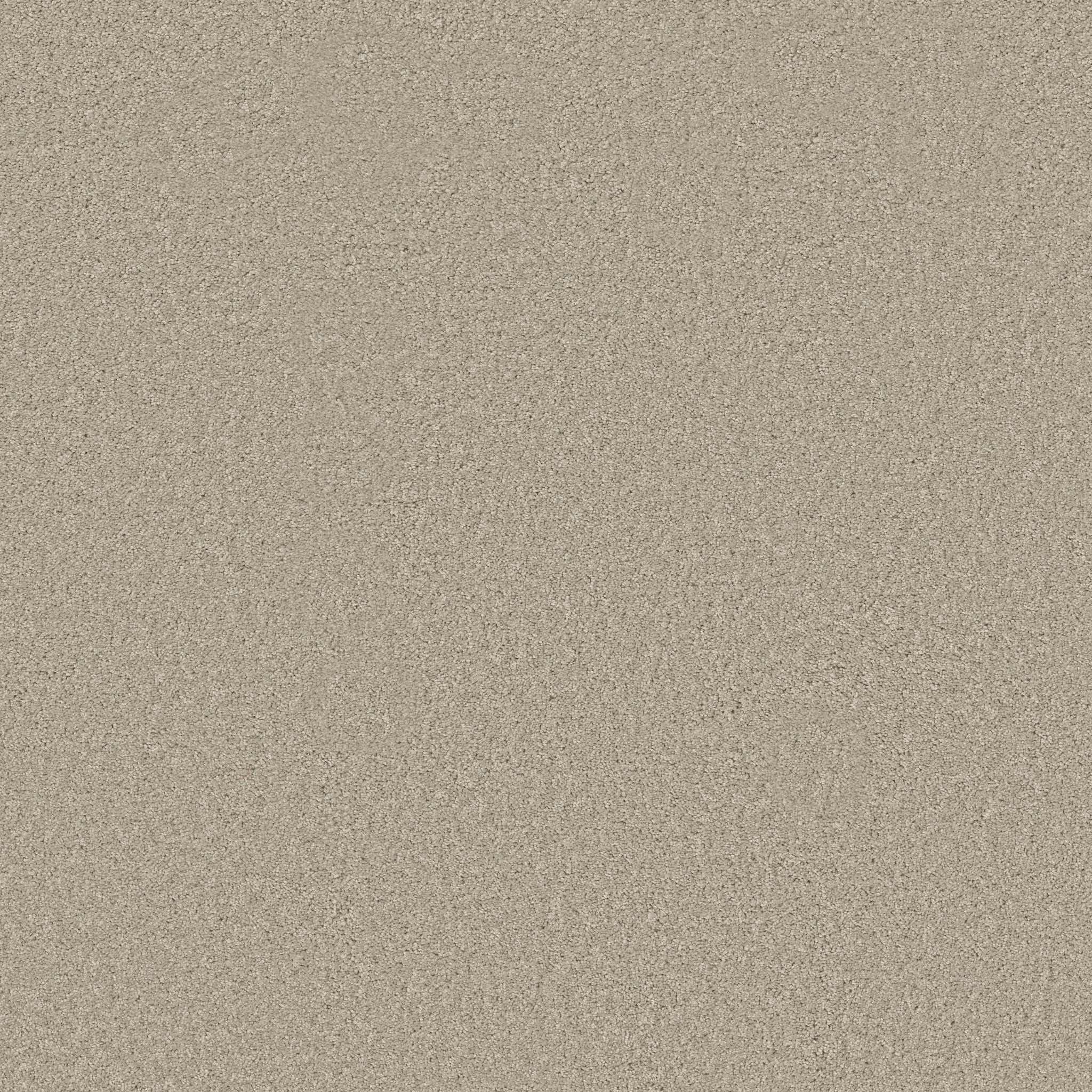 peachtree_i_(s) greige carpets hgn7600106 Shaw Builder Flooring