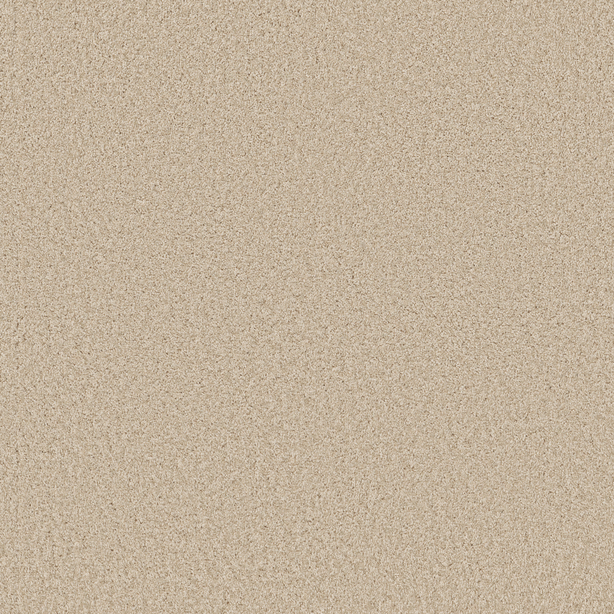 golden cove sand dollar carpets HGP0200106 Shaw Builder Flooring