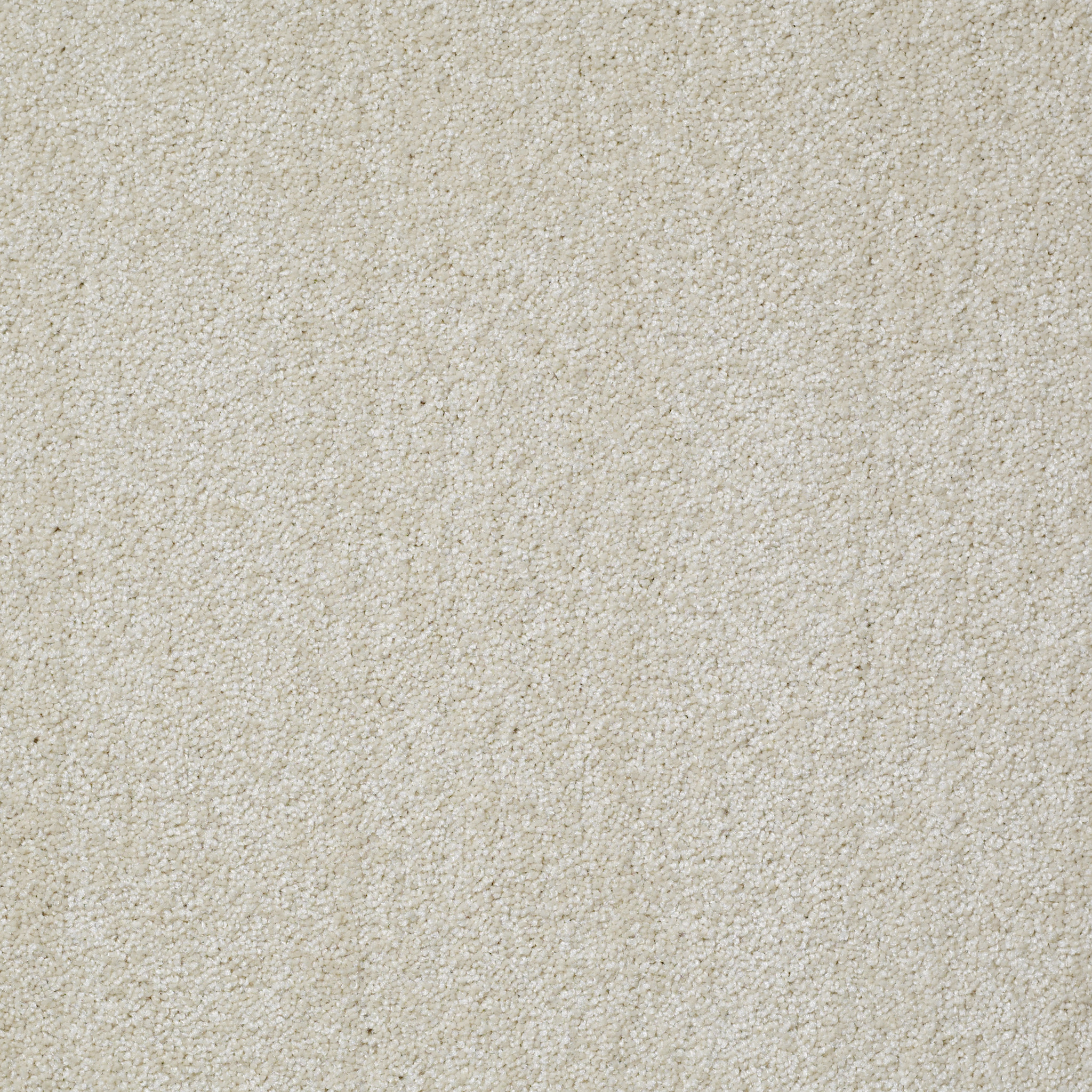 piedmont_way plaster carpets hgp0800103 Shaw Builder Flooring