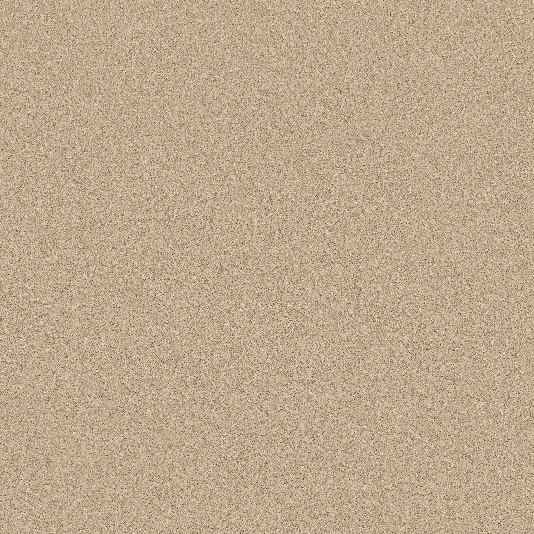 Piedmont Way cream puff carpets HGP0800111 Shaw Builder Flooring